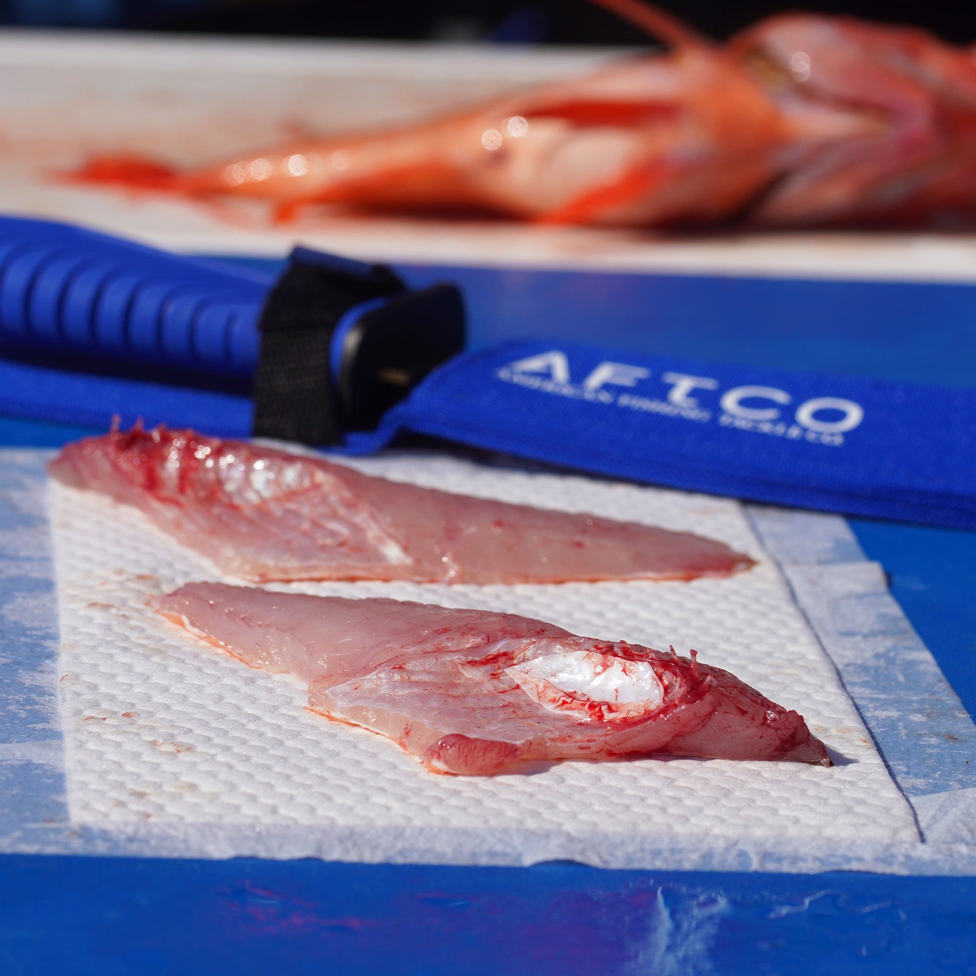 AFTCO Absorbent Pads Fish Fillet Care White