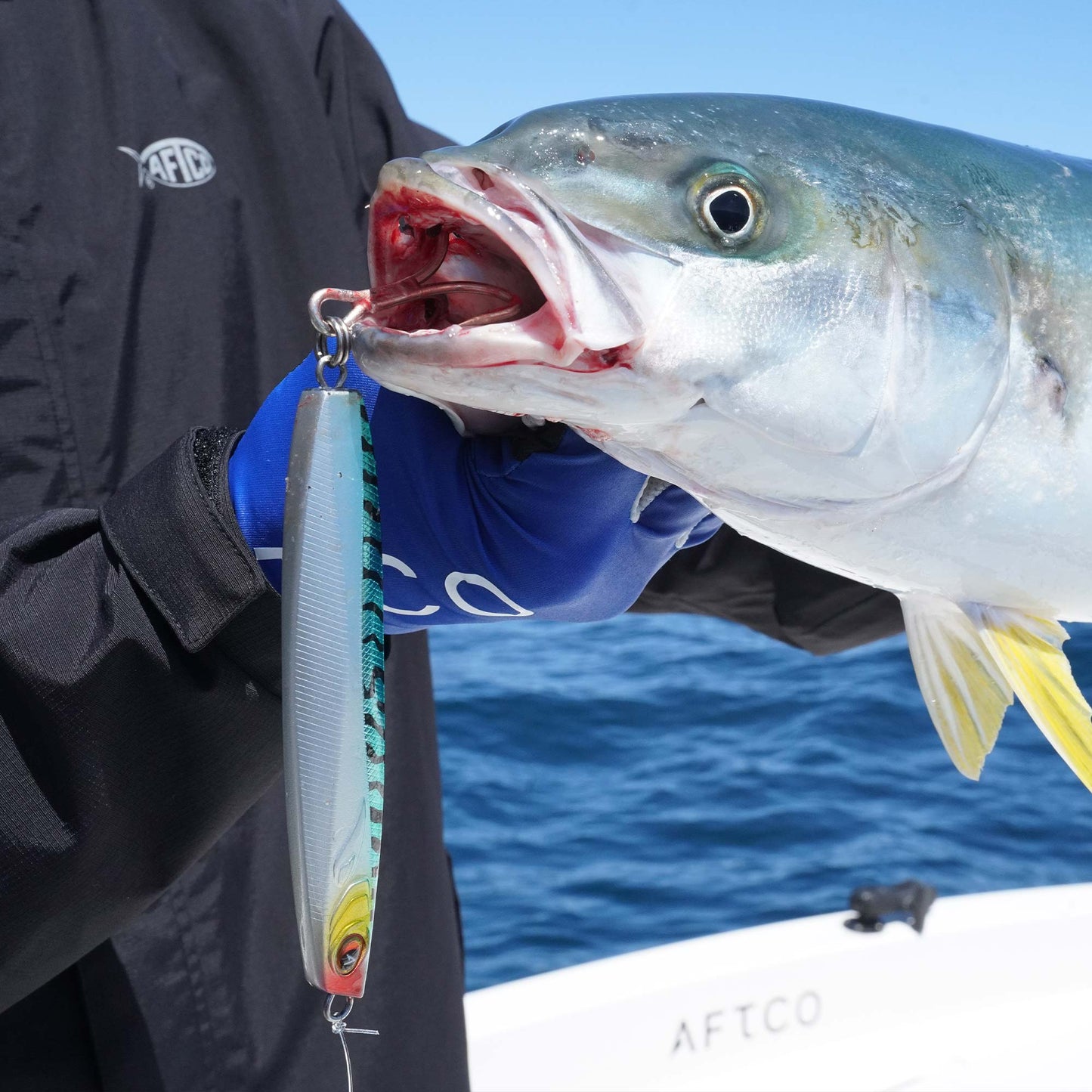 AFTCO Blue Fever Hybrid Blue Pink